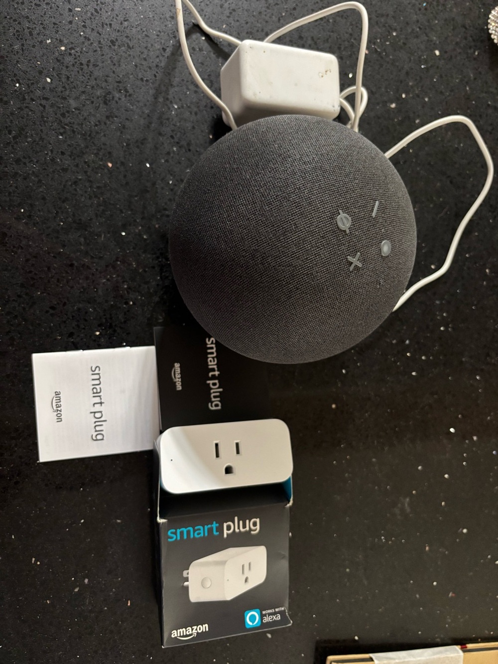 Amazon Alex w/ Smart Plug Adapter in White **take both**